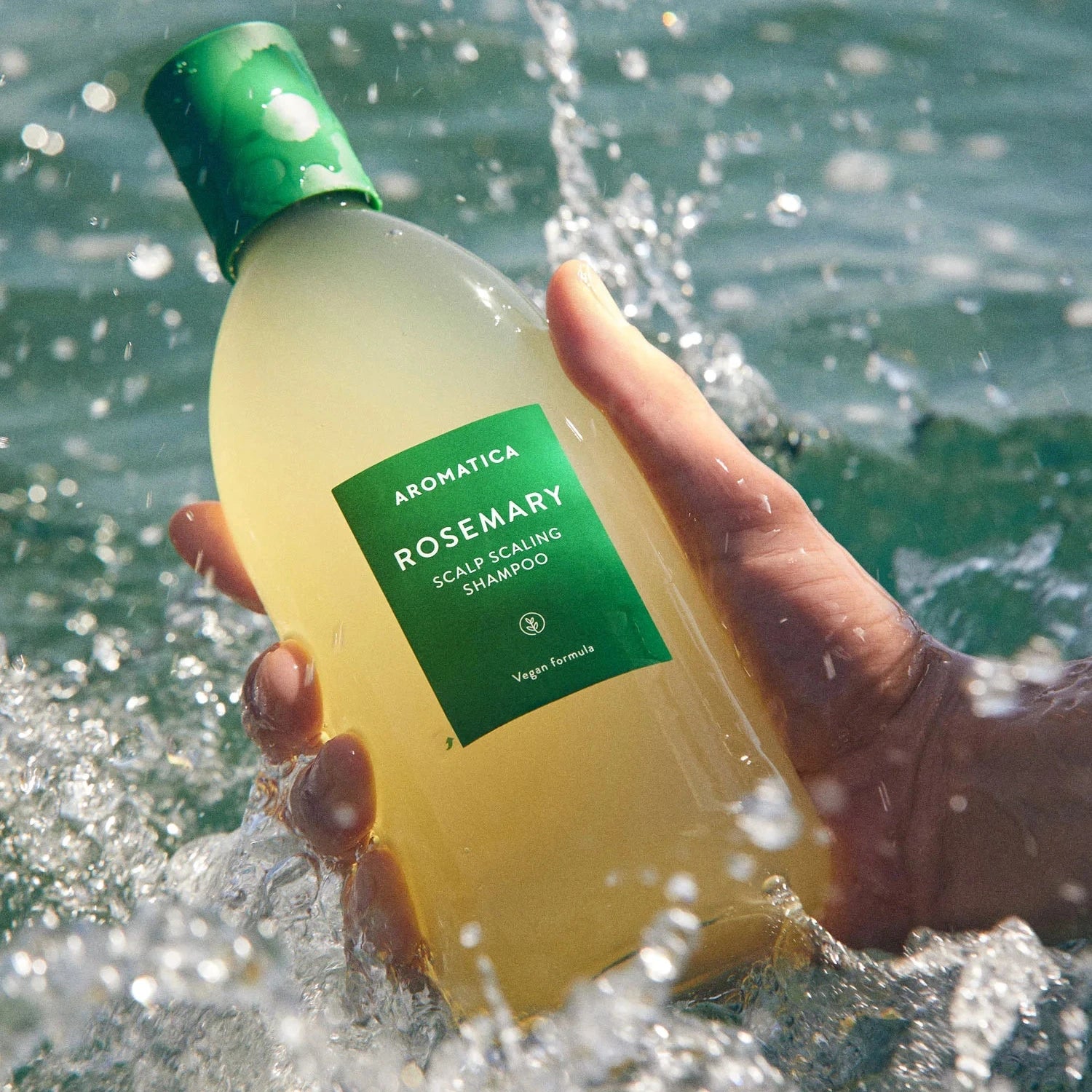 AROMATICA Rosemary Scalp Scaling Shampoo used in water emphasizing refreshing scalp cleansing