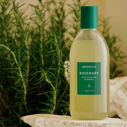 AROMATICA Rosemary Scalp Scaling Shampoo with rosemary plant styling highlighting natural ingredients